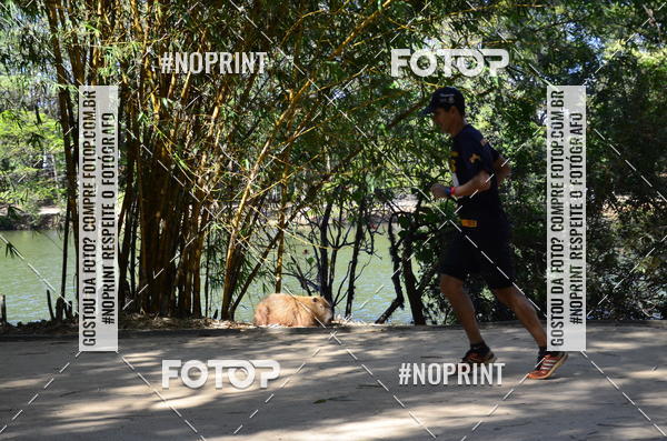 Buy your photos of the eventUltramarathon Internacional 24hs Run 2019 on Fotop