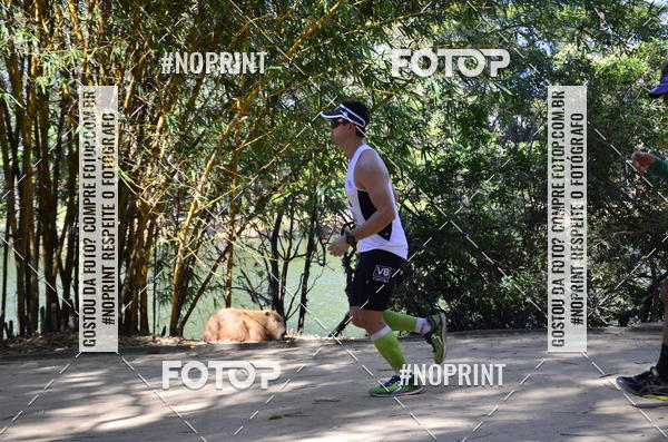 Buy your photos of the eventUltramarathon Internacional 24hs Run 2019 on Fotop