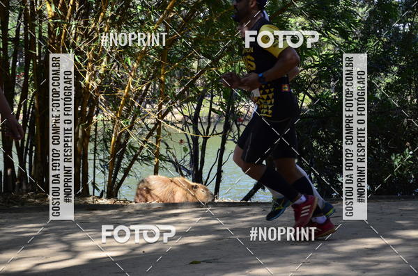 Buy your photos of the eventUltramarathon Internacional 24hs Run 2019 on Fotop