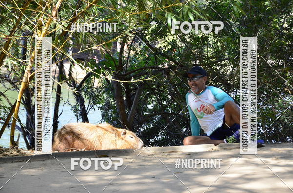 Buy your photos of the eventUltramarathon Internacional 24hs Run 2019 on Fotop