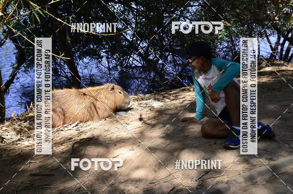 Buy your photos of the eventUltramarathon Internacional 24hs Run 2019 on Fotop