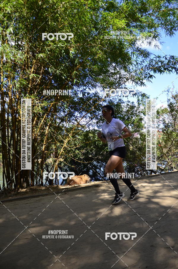 Buy your photos of the eventUltramarathon Internacional 24hs Run 2019 on Fotop