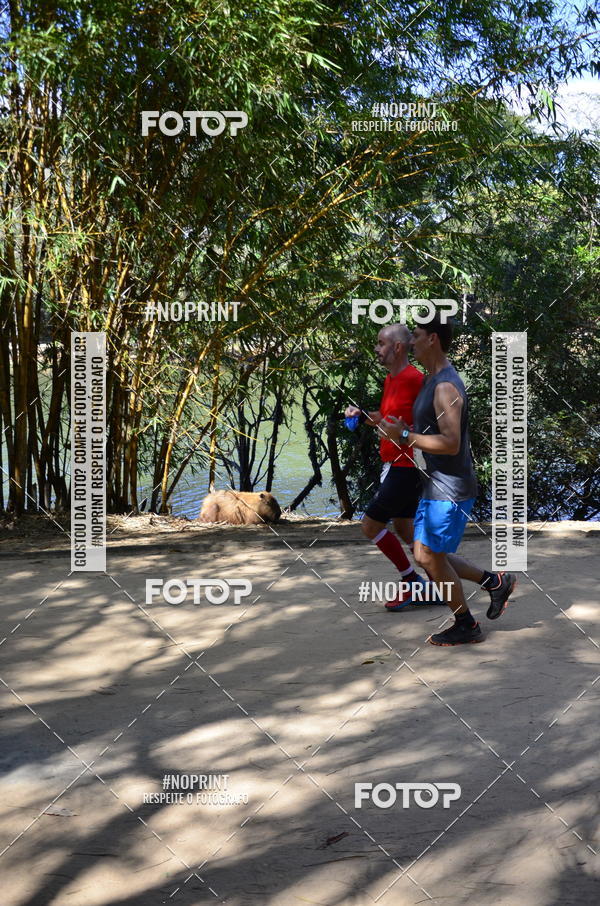 Buy your photos of the eventUltramarathon Internacional 24hs Run 2019 on Fotop