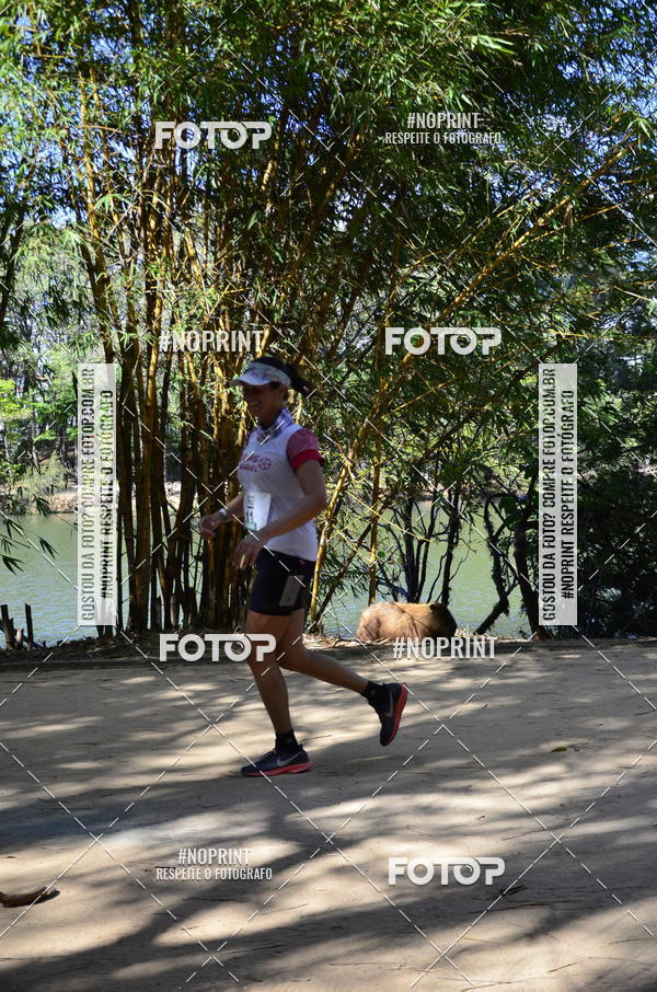 Buy your photos of the eventUltramarathon Internacional 24hs Run 2019 on Fotop