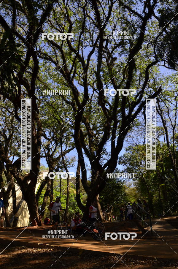 Buy your photos of the eventUltramarathon Internacional 24hs Run 2019 on Fotop