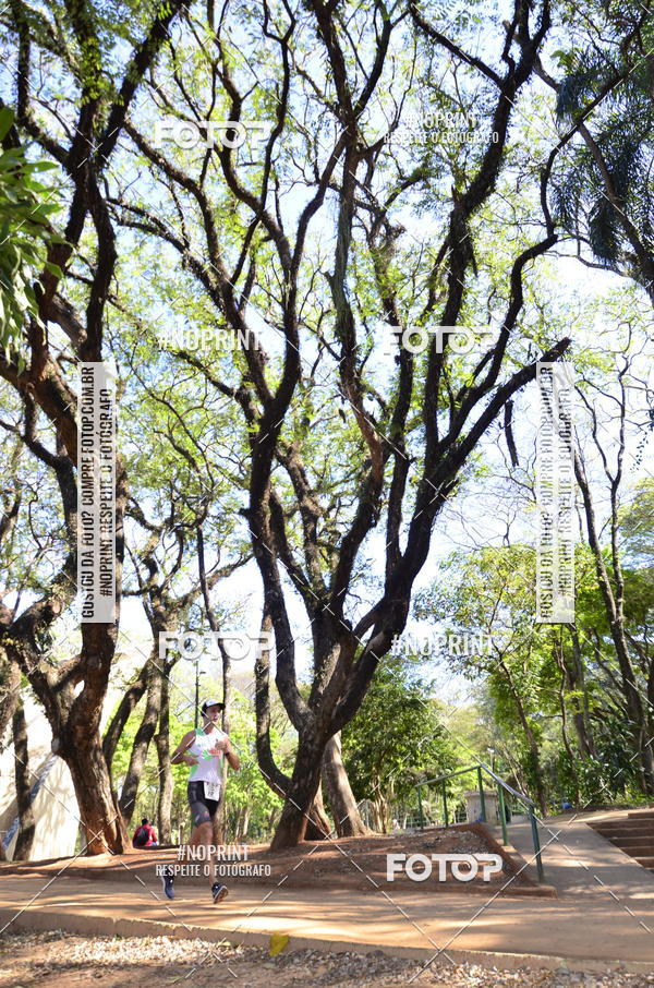 Buy your photos of the eventUltramarathon Internacional 24hs Run 2019 on Fotop