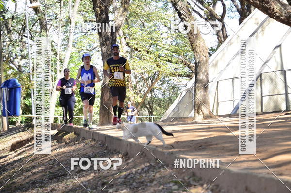 Buy your photos of the eventUltramarathon Internacional 24hs Run 2019 on Fotop