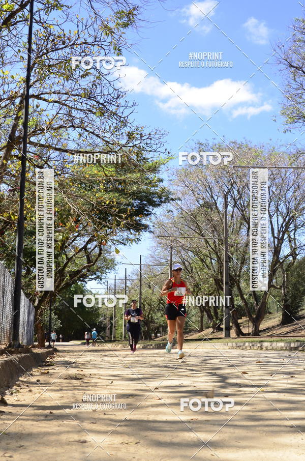 Buy your photos of the eventUltramarathon Internacional 24hs Run 2019 on Fotop