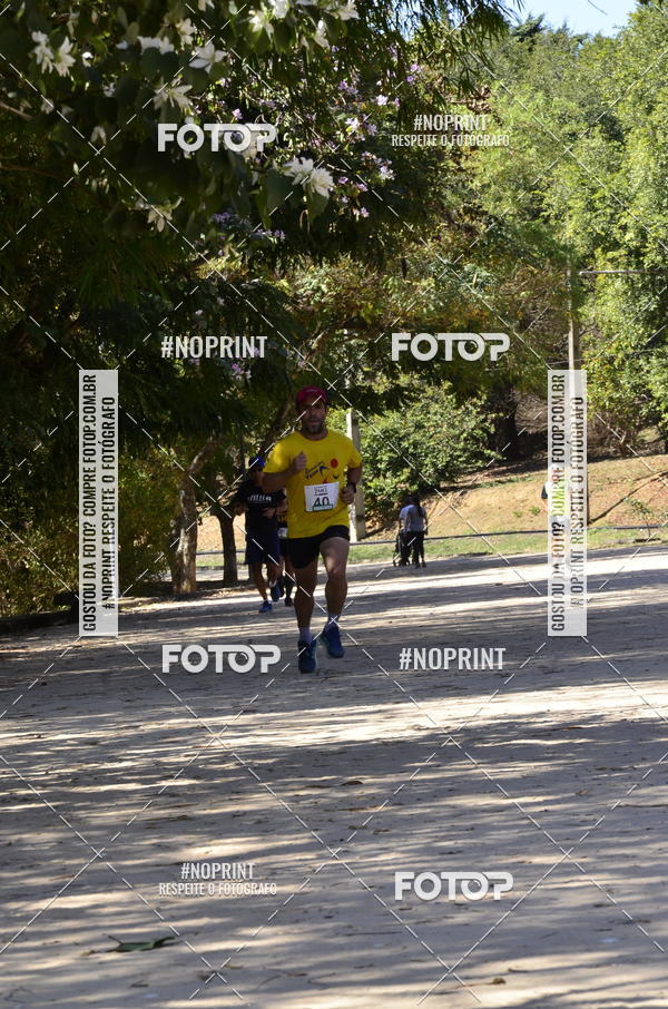 Buy your photos of the eventUltramarathon Internacional 24hs Run 2019 on Fotop