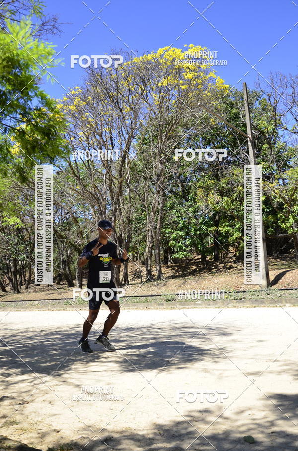Buy your photos of the eventUltramarathon Internacional 24hs Run 2019 on Fotop