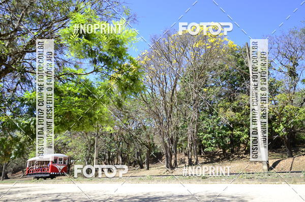 Buy your photos of the eventUltramarathon Internacional 24hs Run 2019 on Fotop