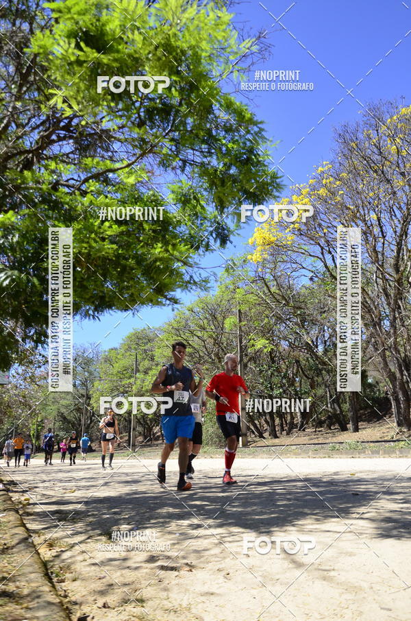 Buy your photos of the eventUltramarathon Internacional 24hs Run 2019 on Fotop