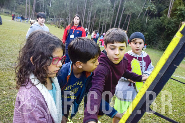 Buy your photos of the eventNR1 - CLSSICO 22 A 26/07/19 on Fotop