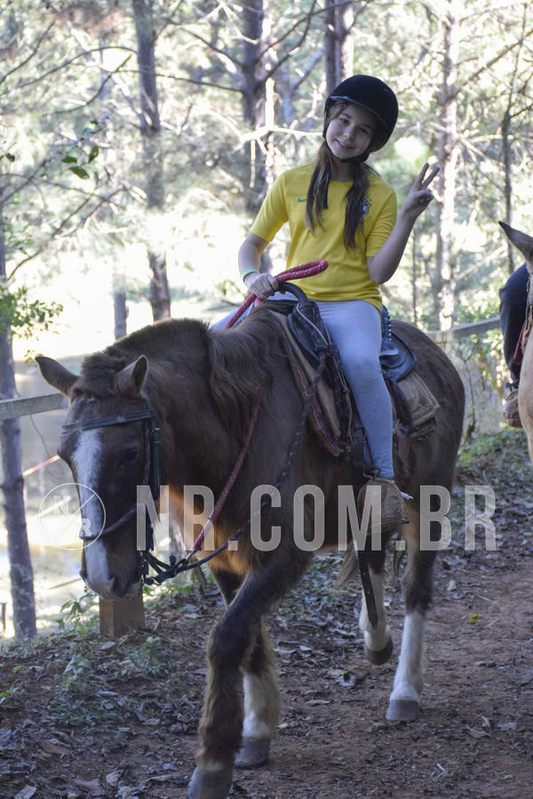 Buy your photos of the eventNR1 - CLSSICO 22 A 26/07/19 on Fotop