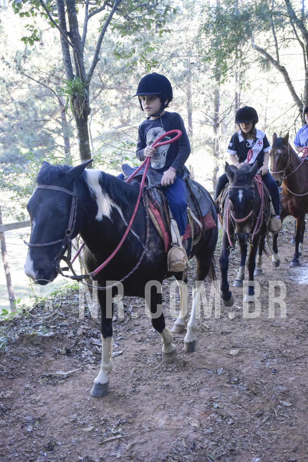 Buy your photos of the eventNR1 - CLSSICO 22 A 26/07/19 on Fotop