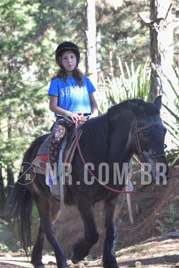 Buy your photos of the eventNR1 - CLSSICO 22 A 26/07/19 on Fotop