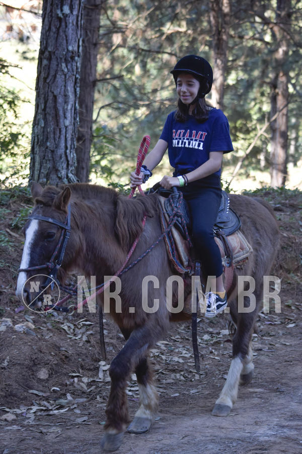 Buy your photos of the eventNR1 - CLSSICO 22 A 26/07/19 on Fotop