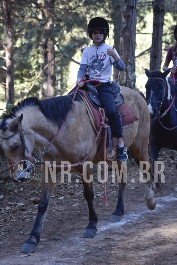 Buy your photos of the eventNR1 - CLSSICO 22 A 26/07/19 on Fotop