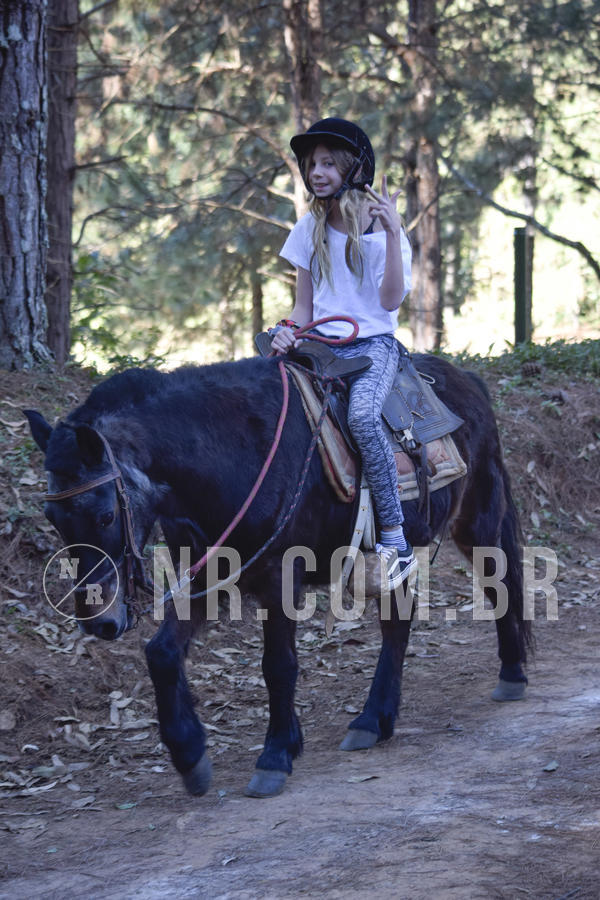 Buy your photos of the eventNR1 - CLSSICO 22 A 26/07/19 on Fotop