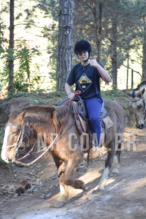 Buy your photos of the eventNR1 - CLSSICO 22 A 26/07/19 on Fotop