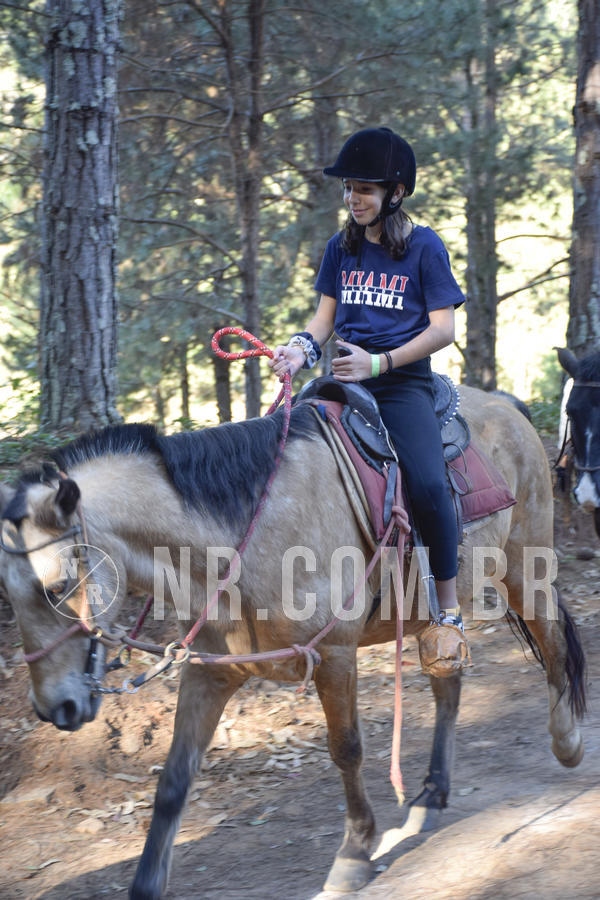 Buy your photos of the eventNR1 - CLSSICO 22 A 26/07/19 on Fotop