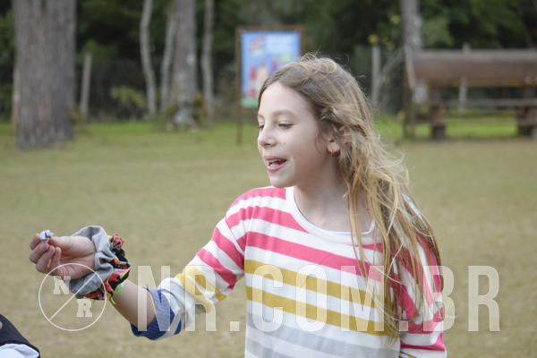 Buy your photos of the eventNR1 - CLSSICO 22 A 26/07/19 on Fotop