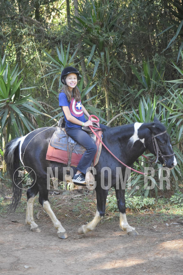 Buy your photos of the eventNR1 - CLSSICO 22 A 26/07/19 on Fotop