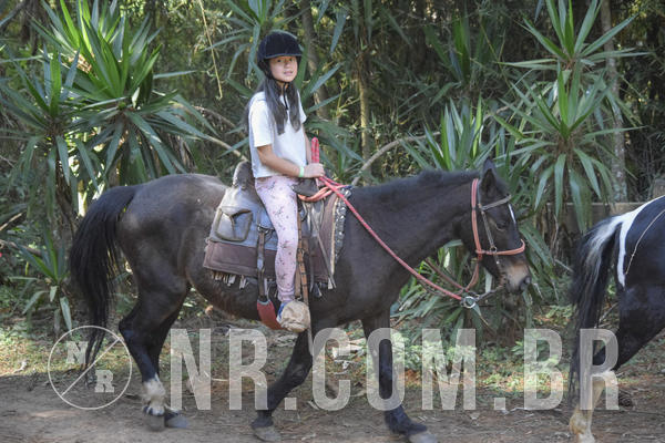 Buy your photos of the eventNR1 - CLSSICO 22 A 26/07/19 on Fotop