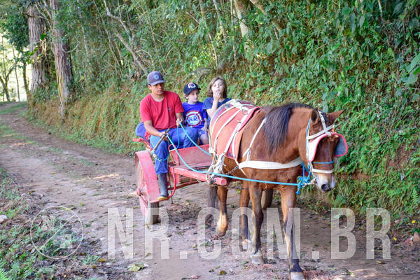 Buy your photos of the eventNR2 - Kids e Teens  22 a 28/07/2019 on Fotop