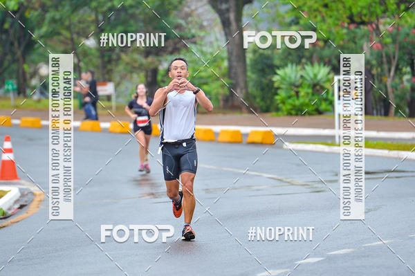 Buy your photos of the eventSantander Track & Field - 2019 on Fotop