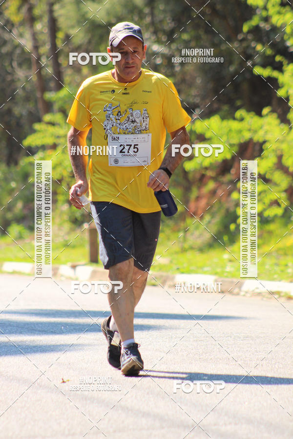 Buy your photos of the event2 CORRIDA E CAMINHADA FIEL CAMPOS  on Fotop