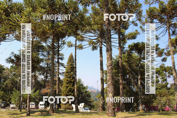 Buy your photos of the event2 CORRIDA E CAMINHADA FIEL CAMPOS  on Fotop