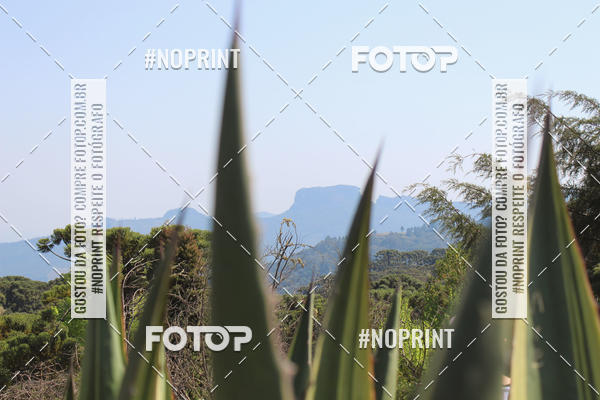 Buy your photos of the event2 CORRIDA E CAMINHADA FIEL CAMPOS  on Fotop