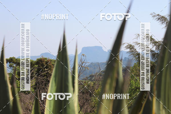 Buy your photos of the event2 CORRIDA E CAMINHADA FIEL CAMPOS  on Fotop
