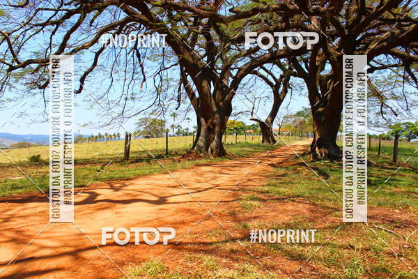 Buy your photos of the event3 Etapa Mazzaropi MTB CUP on Fotop