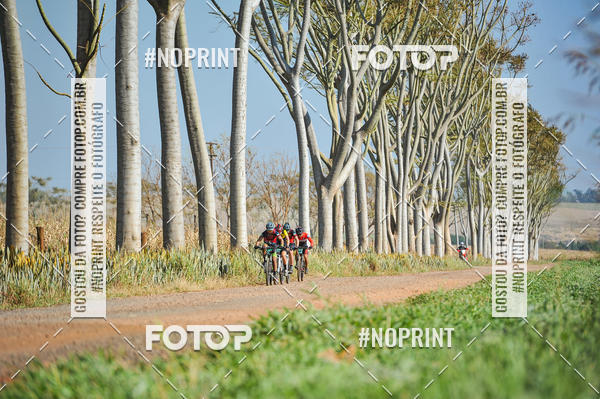 Buy your photos of the event2 Pedal Solidrio de Tupinamb - 2019 on Fotop
