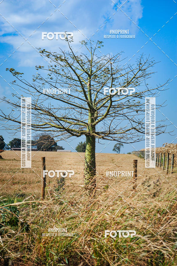 Buy your photos of the event2 Pedal Solidrio de Tupinamb - 2019 on Fotop