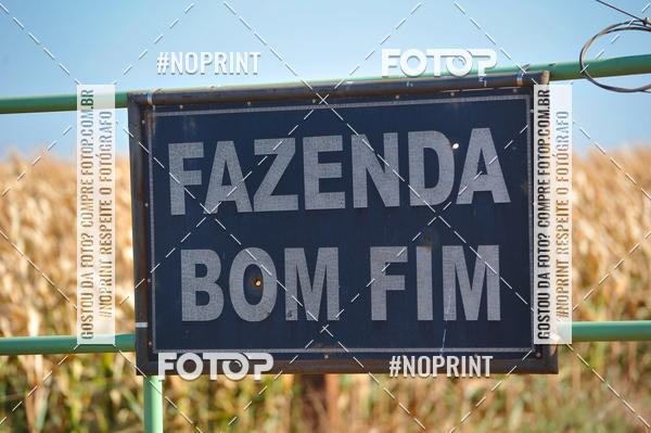 Buy your photos of the event2 Pedal Solidrio de Tupinamb - 2019 on Fotop