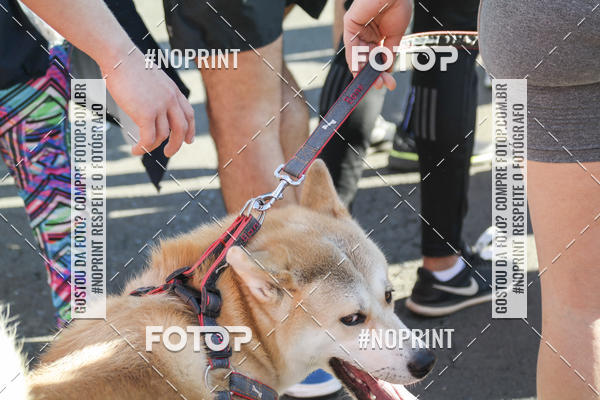 Buy your photos of the event2 Corrida e Caminhada Quebrando o Silncio on Fotop
