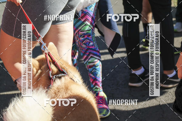 Buy your photos of the event2 Corrida e Caminhada Quebrando o Silncio on Fotop