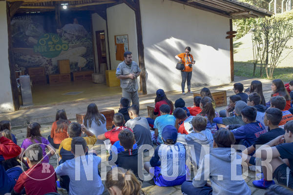 Buy your photos of the eventNR1 - Cl�ssico 26 a 28/07/19 on Fotop