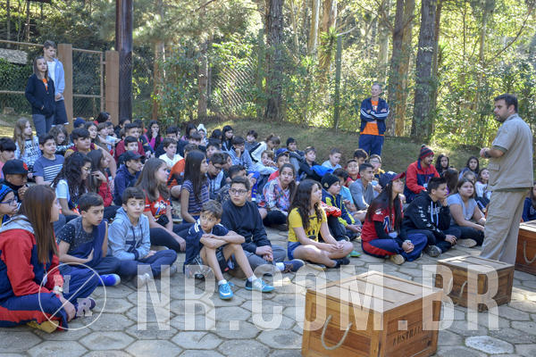 Buy your photos of the eventNR1 - Cl�ssico 26 a 28/07/19 on Fotop