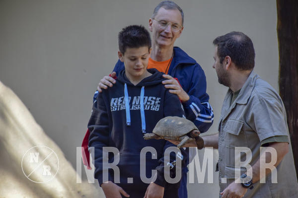 Buy your photos of the eventNR1 - Cl�ssico 26 a 28/07/19 on Fotop