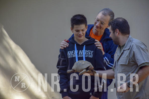 Buy your photos of the eventNR1 - Cl�ssico 26 a 28/07/19 on Fotop