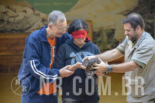 Buy your photos of the eventNR1 - Cl�ssico 26 a 28/07/19 on Fotop