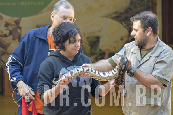 Buy your photos of the eventNR1 - Cl�ssico 26 a 28/07/19 on Fotop