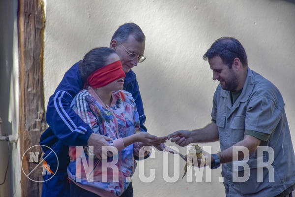 Buy your photos of the eventNR1 - Cl�ssico 26 a 28/07/19 on Fotop