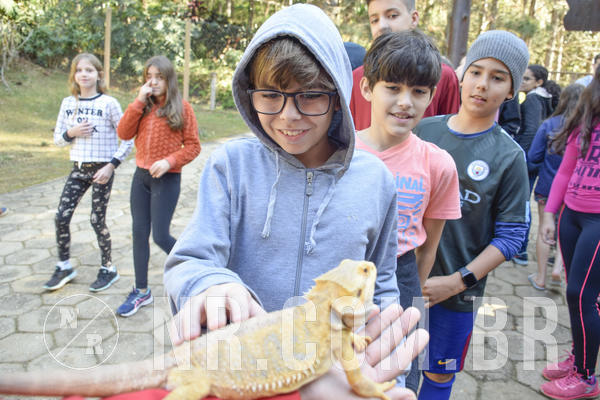 Buy your photos of the eventNR1 - Cl�ssico 26 a 28/07/19 on Fotop