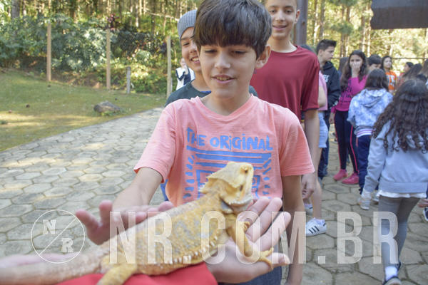 Buy your photos of the eventNR1 - Cl�ssico 26 a 28/07/19 on Fotop