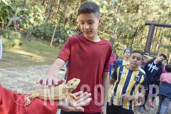 Buy your photos of the eventNR1 - Cl�ssico 26 a 28/07/19 on Fotop